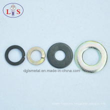 Various Kinds of Washers/Plain Wahser/Spring Washer